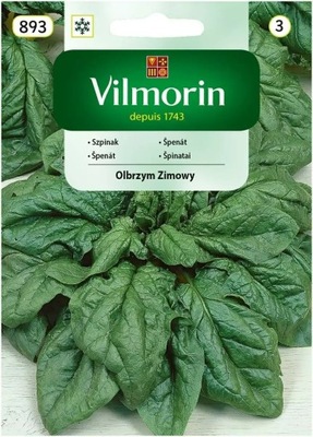 !Szpinak Olbrzym Zimowy 20g Vilmorin