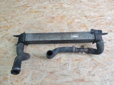 Qubo fiorino інтеркулер 51790623 фото №1