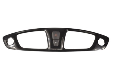 Захист корпус рамка scenic iii фото №1