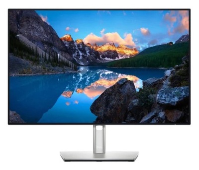 Monitor Dell U2421E 24,1" LED IPS 1920 x 1200 WUXGA 350cd matowy 16:10