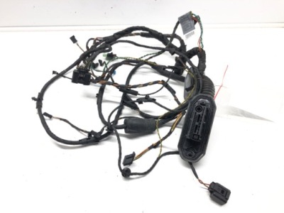 Джгут двері перед права 9234338 bmw f01 08-15 фото №1