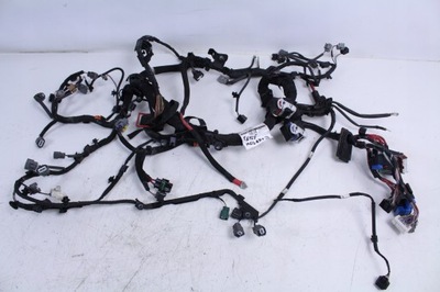 Електропроводка двигуна renault megane iv 4 17r. 1.6tce фото №1