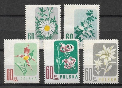 876-80 - kwiaty