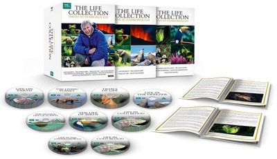 ŻYCIE [24 DVD] Life: Zestaw BBC - David Attenborough [9 Seriali]