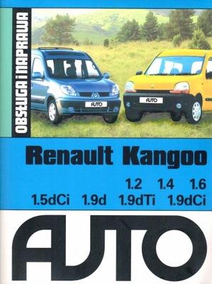 RENAULT KANGOO 1.9 dCi NAPRAWA I OBSŁUGA