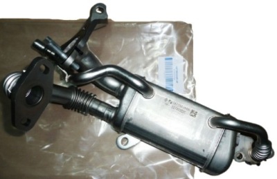 Радиатор выхлопных газов egr nissan note pulsar juke qashqai nv200 1.5 dci фото №1