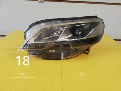 Expert traveller фара лампа ліва перед ксенон фото №1