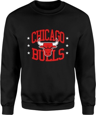 CHICAGO BULLS JORDAN MICHAEL NBA BLUZA MĘSKA XXL NADRUK BEZ KAPTURA