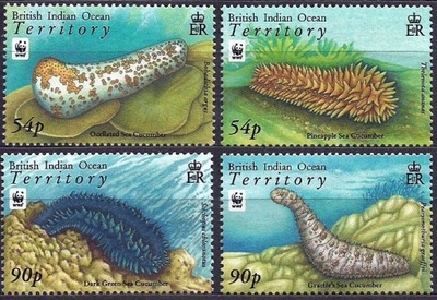 Bryt. Ter. Ind. 2008, WWF: fauna morska **