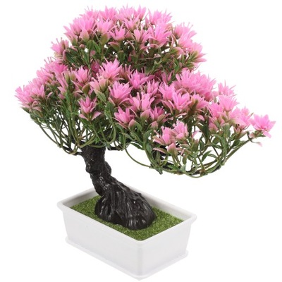 Bonsai z pieśnią powitalną chińskiego drzewa pieniędzy