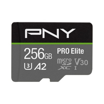 Karta pamięci MicroSDXC 256GB P-SDU256V32100PRO-G