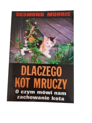 Dlaczego kot mruczy Morris