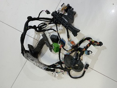 Citroen c5 aircross джгут електрична двері фото №1