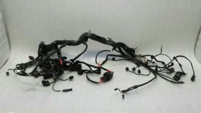 BMW R1200GS R1200 GS Engine Wiring Loom 85622116 Harness