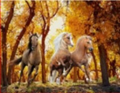 Haft diamentowy mozaika zestaw 5D biegnące konie