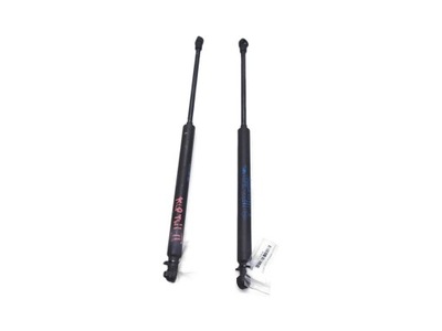 Амортизаторы амортизаторы крышки renault twingo ii 8200385560 фото №1