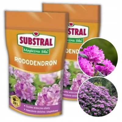 SUBSTRAL NAWÓZ ROZPUSZCZALNY DO RODODENDRONÓW 350G