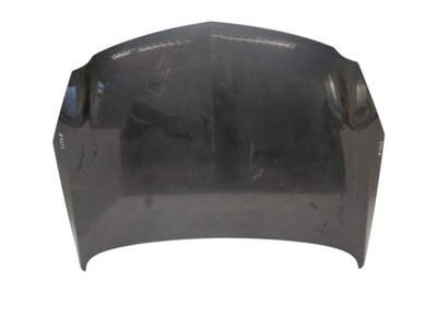 13276949 капот opel insignia a g09 2008-2017 фото №1