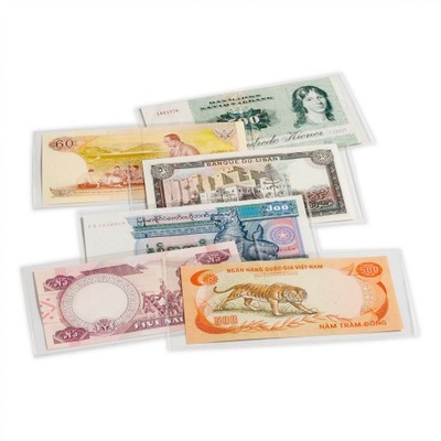 Karty ochronne na banknoty BASIC 170 (10 sztuk)