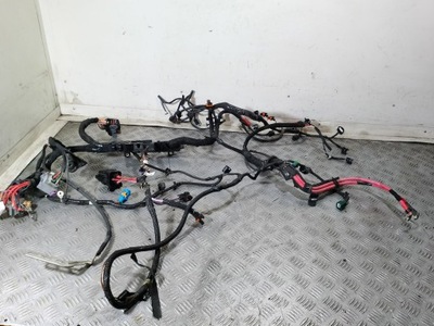 Електропроводка, джгут автомобіля renault scenic iii 1.9 dci фото №1