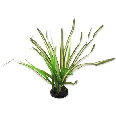 Reptiplanet Roślina Do Terrarium Spartina Trawa 30cm