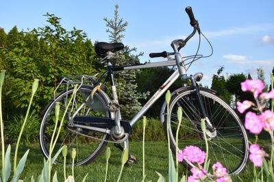 Rower firmy Gazelle Chamonix