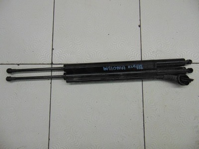 Амортизатори кришки opel insignia фото №1