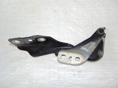 FORD CHARNELA DE CAPO DERECHA DS73F16800  