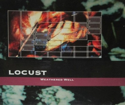 Locust -Weathered Well cd 1994 Mark Van Hoen