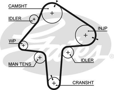 GATES 5482XS РЕМЕНЬ ГРМ