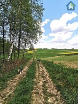 Działka, Polanka Wielka, 2583 m²