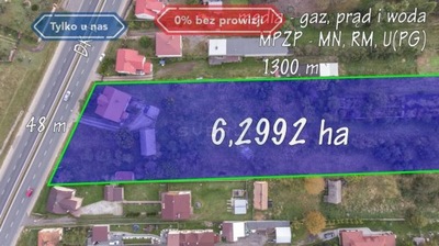 Działka, Kamienica Polska, 62992 m²