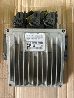 Блок керування двигуна 391024x520 фото №1