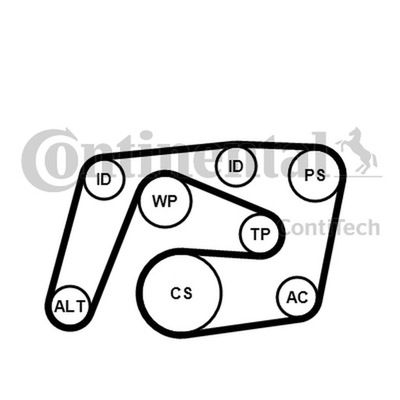 JUEGO CORREA WIELOROWK. DB W203/204 W211 CDI  