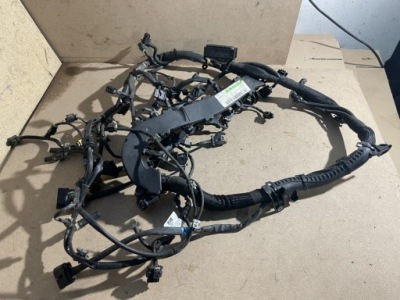 Джгут електропроводка двигуна mercedes a-klasa w176 2.2 cdi a6510105618 фото №1