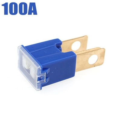 100A 80A 70A 60A 50A 40A 30A PAL PEQUEÑO SLOW BLOW CAR AUTO FUSE FOR HO~5828  