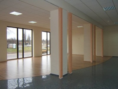 Komercyjne, Łódź, Polesie, Koziny, 170 m²