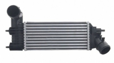 PEUGEOT 406 1995-2004 AUŠINTUVAS INTERCOOLER 