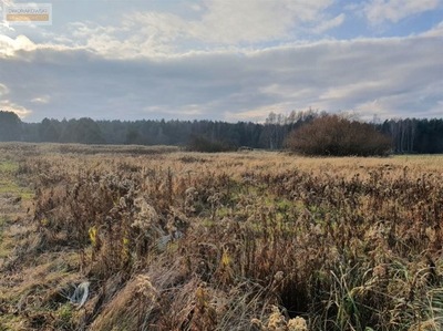 Działka, Malerzów, 1816 m²