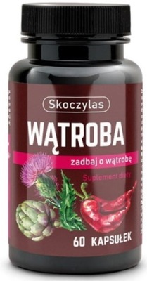 Skoczylas Wątroba zadbaj o wątrobę 60 k