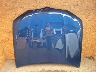 Bmw x3 g01 x4 g02 капот фото №1