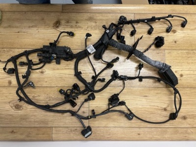 Bmw f48 жгут двигателя дизель фото №1