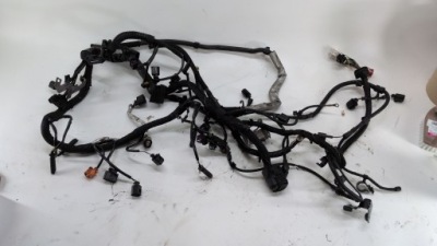 Джгут двигуна audi q7 4l 4l0971610af фото №1