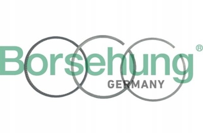 Кільця поршня borsehung do audi a3 s3 фото №1