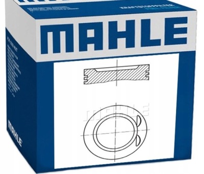 Mahle 022 06 01 поршень фото №1