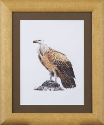 "Dostojny Ptak" Jerzy Gil, nr 026