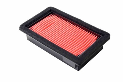 FILTRO AIRE HIFLOFILTRO HFA4613  