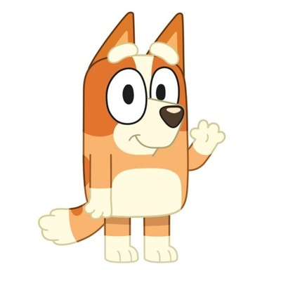 Poduszka Bluey Bingo