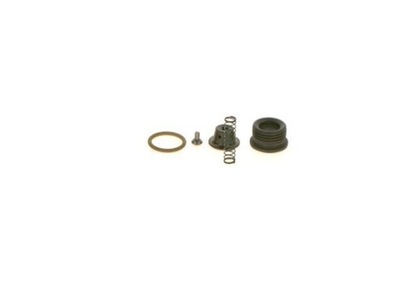 КОМПЛЕКТ РЕМОНТНЫЙ COMMON RAIL F 00N 201 338 BOSCH