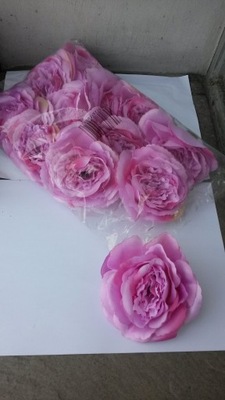 Róża - główka - różowa
